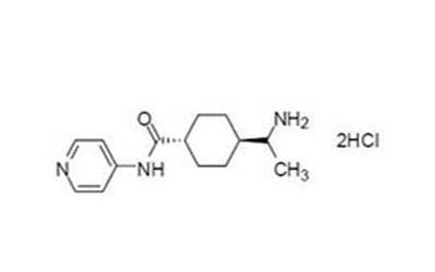 Y-27632 2HCl | ROCK Inhibitor | Buy from Supplier AdooQ®