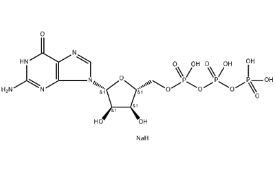 Guanosine-5'-triphosphate disodium salt