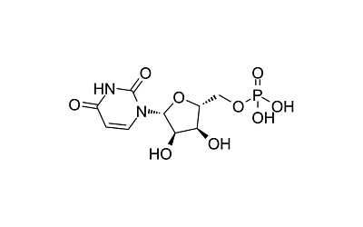 Uridine 5'-monophosphate