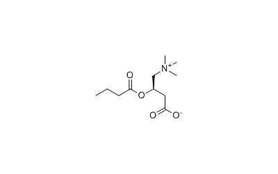 butyryl-l-carnitine Butyrylcarnitine | | 25576-40-3