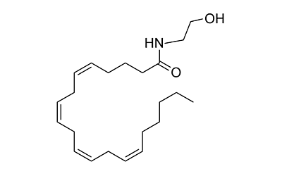 What is Anandamide and how does it work?