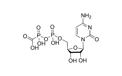 Phosphonoformyl-CMP 959572-49-7 Nucleoside Metabolite