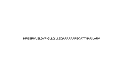 Stresscopin-related peptide (human) 348626-74-4 CRH Receptor Ligand