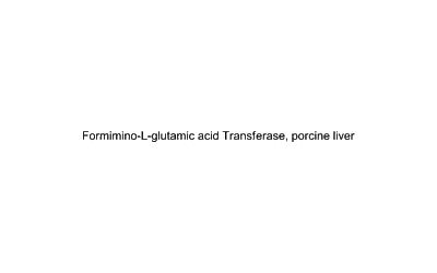 Formimino-L-glutamic acid Transferase, porcine liver 9032-83-1 Biochemical Reagent
