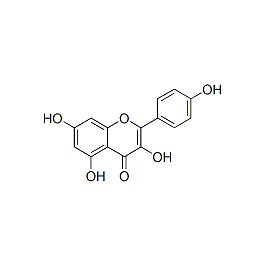 Kaempferol | ERRα and ERRγ inverse agonist | Buy from Supplier AdooQ®