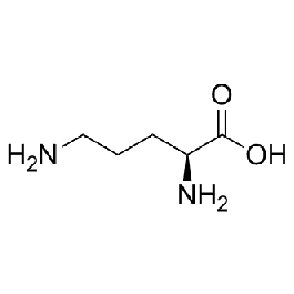 l carnitine & l ornithine L-Ornithine | | 70-26-8 🌿 August is a parent_B0DMQ38VQW Color:ABONNE MIRACLE WHITE C MILK LOTION (VITAMIN C AHA)