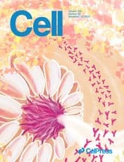 Cell Vol. 185 Issue 23 p4428-4447.e28